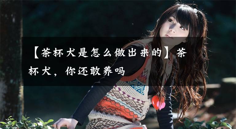 【茶杯犬是怎么做出来的】茶杯犬，你还敢养吗