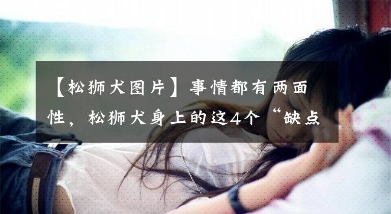 【松狮犬图片】事情都有两面性，松狮犬身上的这4个“缺点”，其实是优点