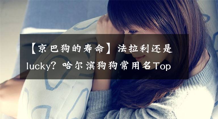 【京巴狗的寿命】法拉利还是lucky？哈尔滨狗狗常用名Top10出炉