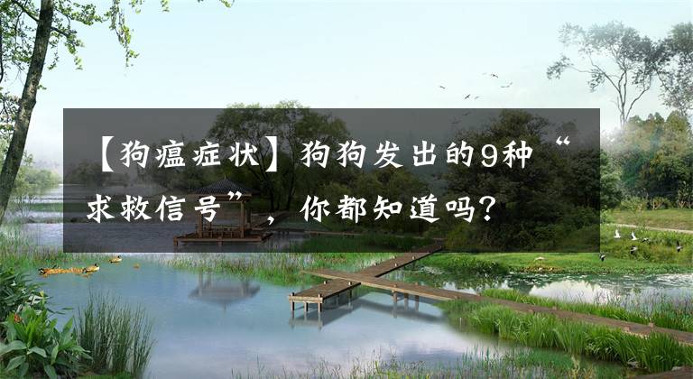 【狗瘟症状】狗狗发出的9种“求救信号”，你都知道吗？