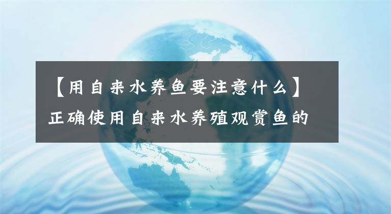 【用自来水养鱼要注意什么】正确使用自来水养殖观赏鱼的方法！