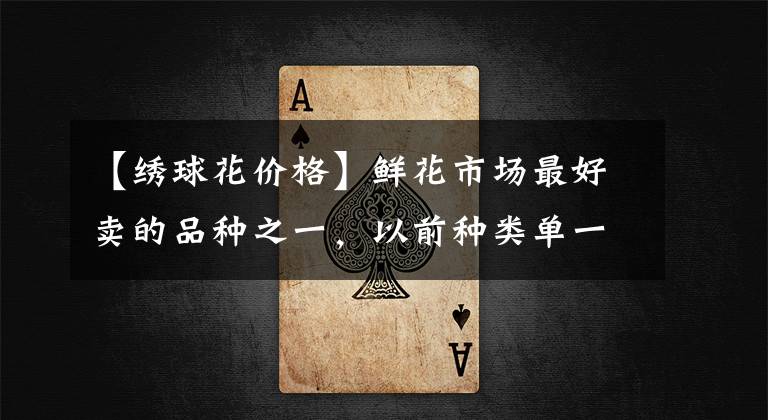 【绣球花价格】鲜花市场最好卖的品种之一，以前种类单一，价格却比较高，而现在