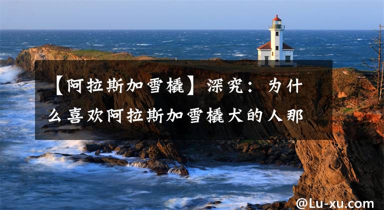 【阿拉斯加雪橇】深究：为什么喜欢阿拉斯加雪橇犬的人那么多？