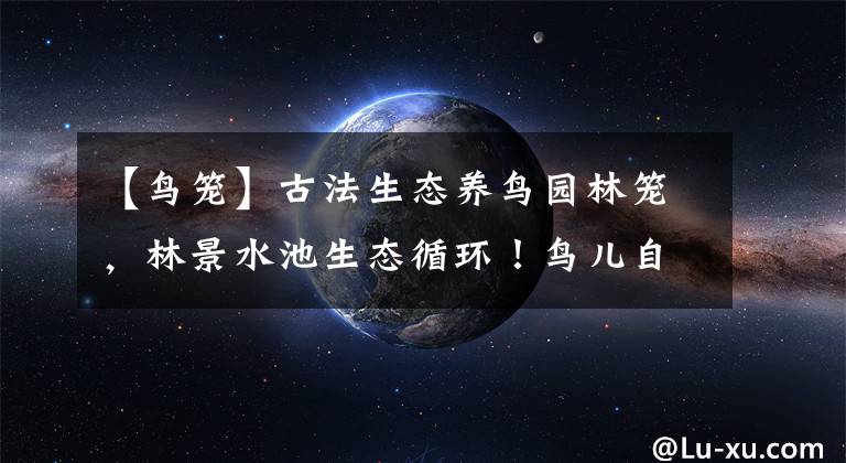【鸟笼】古法生态养鸟园林笼，林景水池生态循环！鸟儿自由繁殖无忧