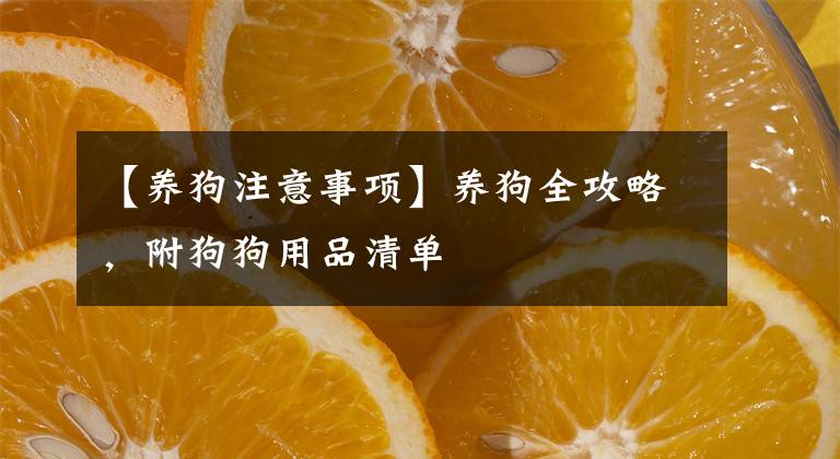 【养狗注意事项】养狗全攻略，附狗狗用品清单