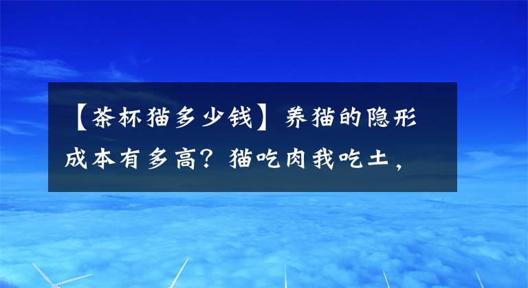 【茶杯猫多少钱】养猫的隐形成本有多高？猫吃肉我吃土，眼泪打湿衣襟无人理