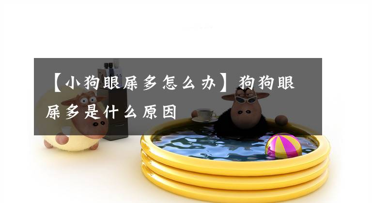 【小狗眼屎多怎么办】狗狗眼屎多是什么原因