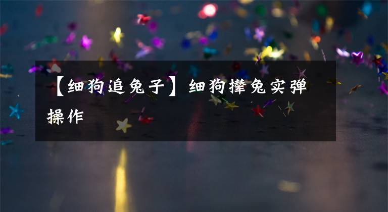 【细狗追兔子】细狗撵兔实弹操作