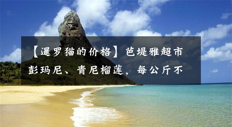 【暹罗猫的价格】芭堤雅超市彭玛尼、青尼榴莲，每公斤不到40元！暹罗柚比榴莲贵！