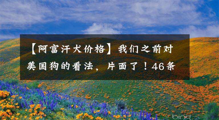 【阿富汗犬价格】我们之前对美国狗的看法，片面了！46条工作犬被抛弃在阿富汗机场