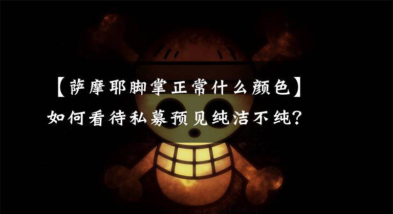 【萨摩耶脚掌正常什么颜色】如何看待私募预见纯洁不纯？萨摩耶的品相很好。