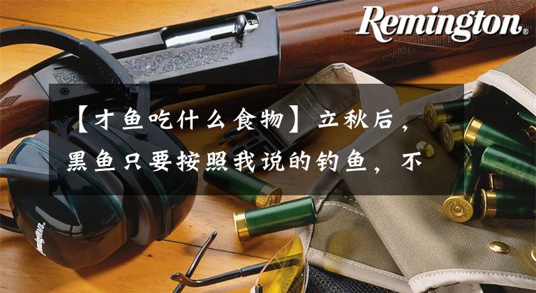【才鱼吃什么食物】立秋后，黑鱼只要按照我说的钓鱼，不吹不黑，使用的人并不是一般的人