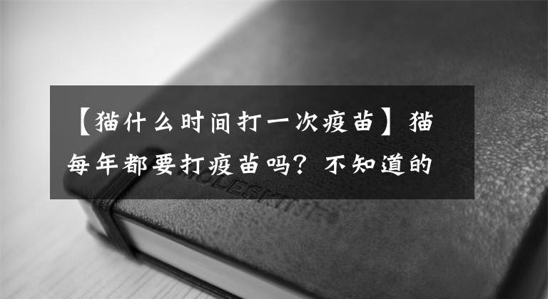 【猫什么时间打一次疫苗】猫每年都要打疫苗吗？不知道的铲屎官一定要仔细看！