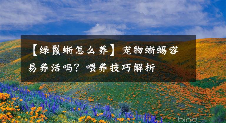 【绿鬣蜥怎么养】宠物蜥蜴容易养活吗？喂养技巧解析