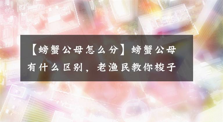 【螃蟹公母怎么分】螃蟹公母有什么区别，老渔民教你梭子蟹挑选技巧，保证肉质肥美