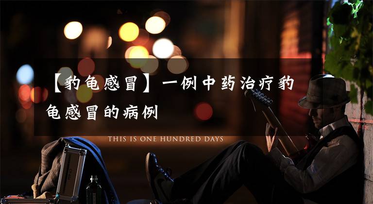 【豹龟感冒】一例中药治疗豹龟感冒的病例