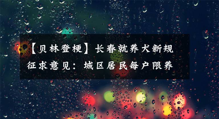 【贝林登梗】长春就养犬新规征求意见：城区居民每户限养一只犬，禁养德牧