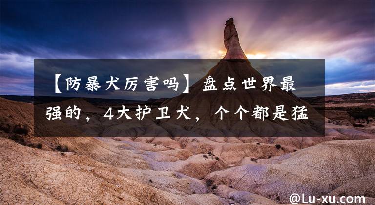 【防暴犬厉害吗】盘点世界最强的，4大护卫犬，个个都是猛将！