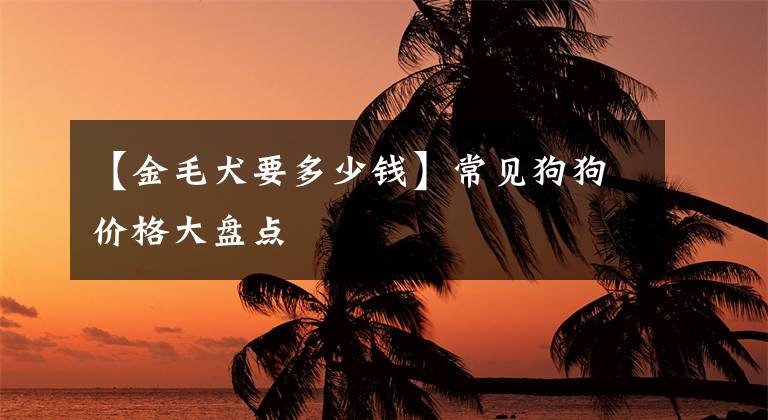 【金毛犬要多少钱】常见狗狗价格大盘点