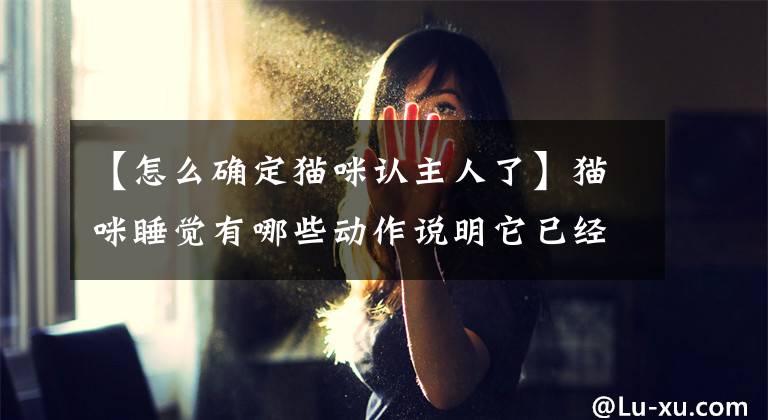 【怎么确定猫咪认主人了】猫咪睡觉有哪些动作说明它已经认主了？