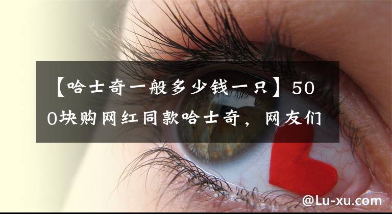 【哈士奇一般多少钱一只】500块购网红同款哈士奇，网友们看完，长成这样肯定红！