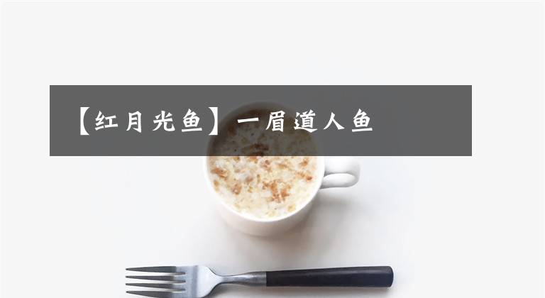 【红月光鱼】一眉道人鱼