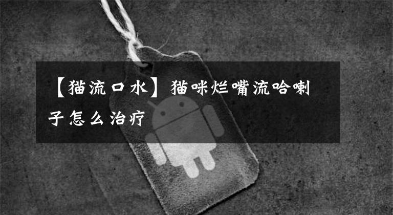 【猫流口水】猫咪烂嘴流哈喇子怎么治疗