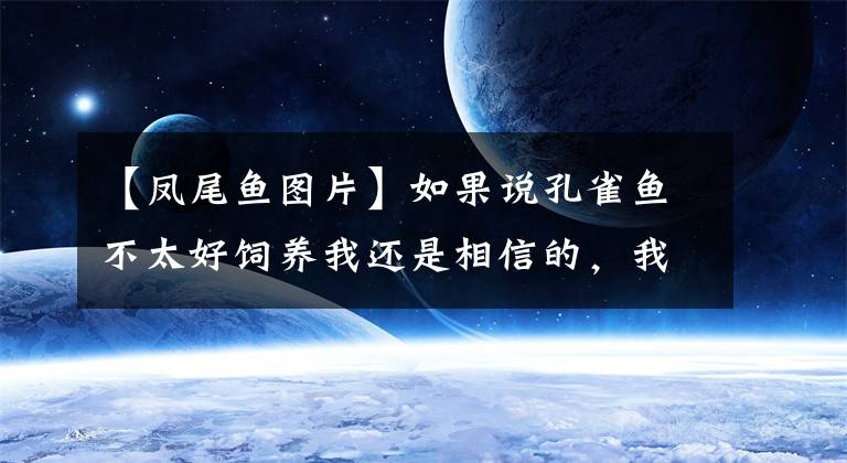 【凤尾鱼图片】如果说孔雀鱼不太好饲养我还是相信的，我们需要注意以下问题！