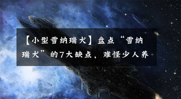 【小型雪纳瑞犬】盘点“雪纳瑞犬”的7大缺点，难怪少人养