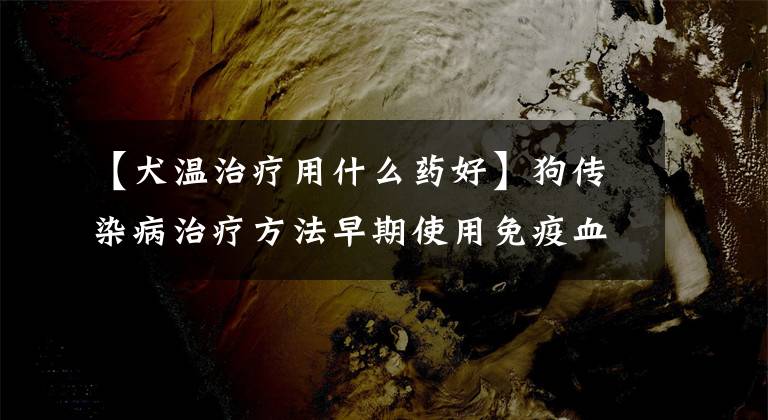 【犬温治疗用什么药好】狗传染病治疗方法早期使用免疫血清治疗。