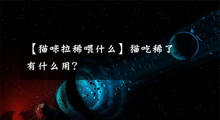 【猫咪拉稀喂什么】猫吃稀了有什么用？