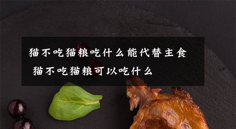 猫不吃猫粮吃什么能代替主食 猫不吃猫粮可以吃什么