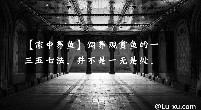 【家中养鱼】饲养观赏鱼的一三五七法，并不是一无是处，有些说法也很正确