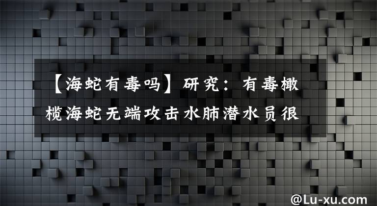 【海蛇有毒吗】研究：有毒橄榄海蛇无端攻击水肺潜水员很可能跟交配有关