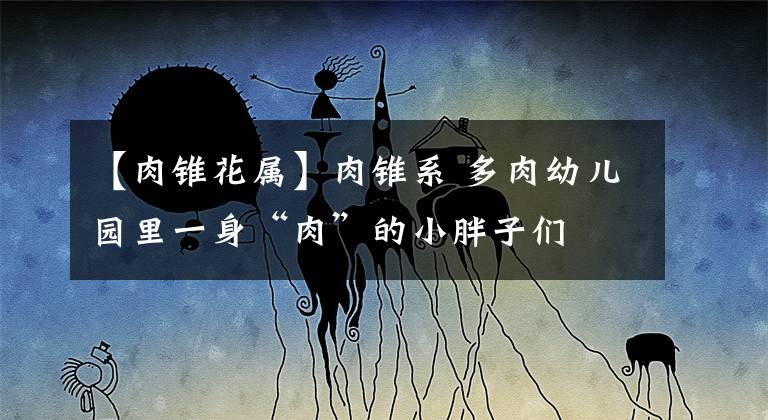 【肉锥花属】肉锥系 多肉幼儿园里一身“肉”的小胖子们