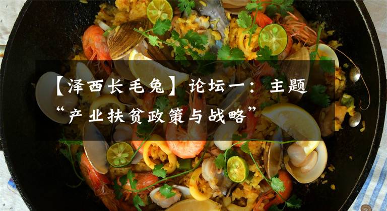 【泽西长毛兔】论坛一：主题“产业扶贫政策与战略”