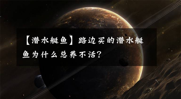 【潜水艇鱼】路边买的潜水艇鱼为什么总养不活？