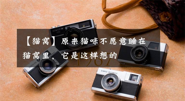 【猫窝】原来猫咪不愿意睡在猫窝里，它是这样想的