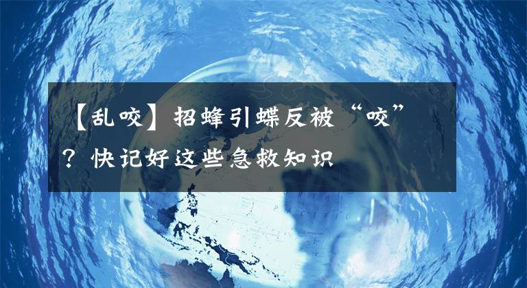 【乱咬】招蜂引蝶反被“咬”？快记好这些急救知识
