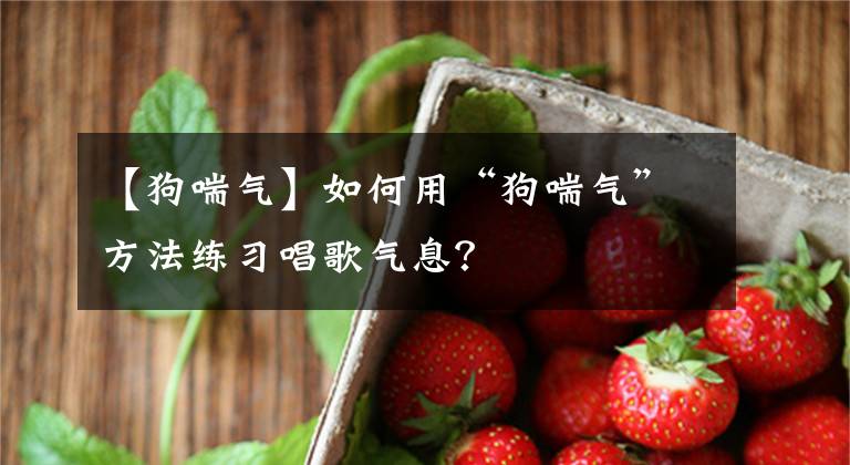 【狗喘气】如何用“狗喘气”方法练习唱歌气息？