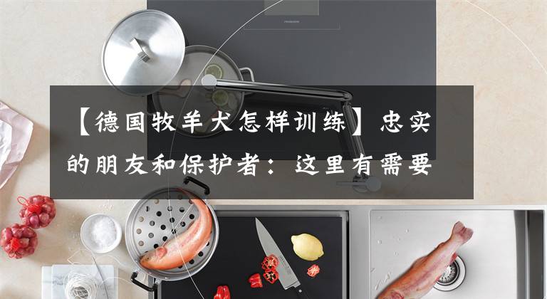 【德国牧羊犬怎样训练】忠实的朋友和保护者：这里有需要了解的有关德国牧羊犬的一切