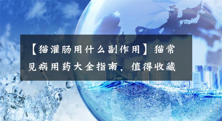 【猫灌肠用什么副作用】猫常见病用药大全指南，值得收藏（lian上猫舍整理）