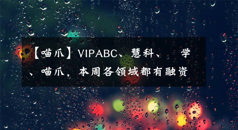 【喵爪】VIPABC、慧科、乂学、喵爪，本周各领域都有融资案，温暖过冬