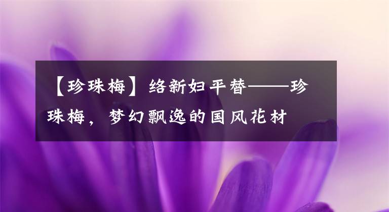 【珍珠梅】络新妇平替——珍珠梅，梦幻飘逸的国风花材