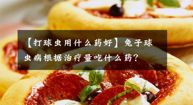 【打球虫用什么药好】兔子球虫病根据治疗量吃什么药？