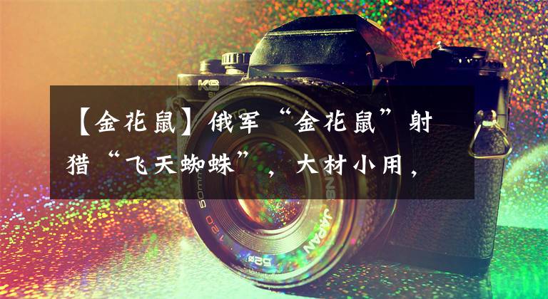 【金花鼠】俄军“金花鼠”射猎“飞天蜘蛛”，大材小用，体系落后无奈之举