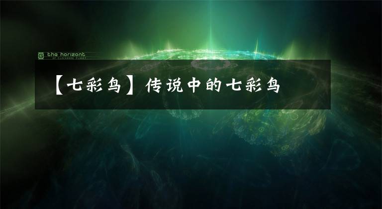 【七彩鸟】传说中的七彩鸟