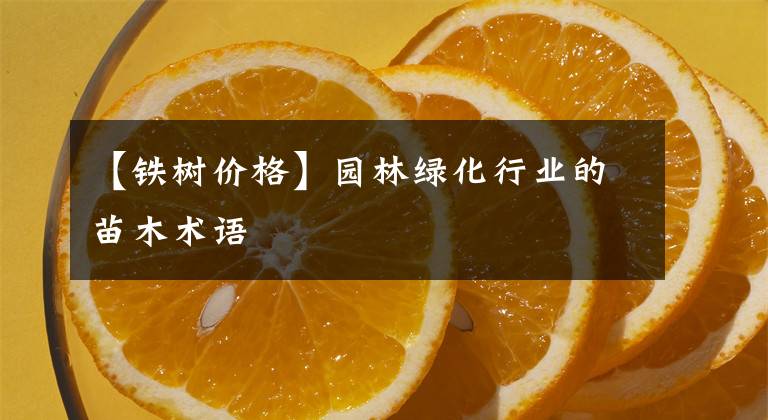 【铁树价格】园林绿化行业的苗木术语