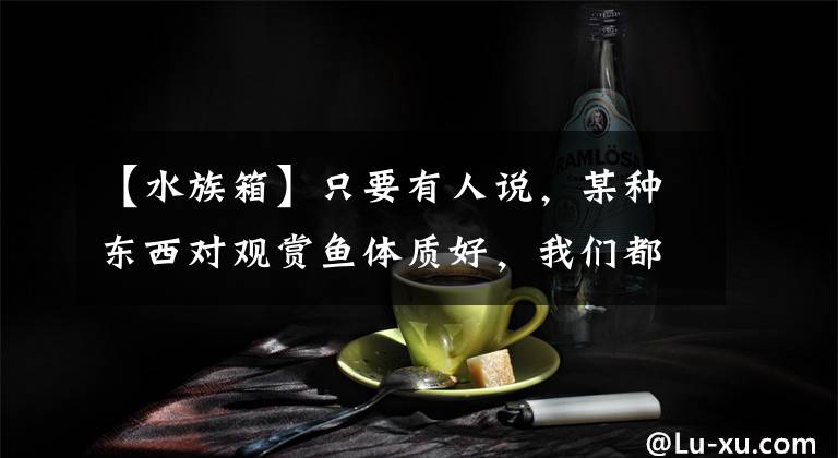 【水族箱】只要有人说，某种东西对观赏鱼体质好，我们都要在鱼缸里试试呢？
