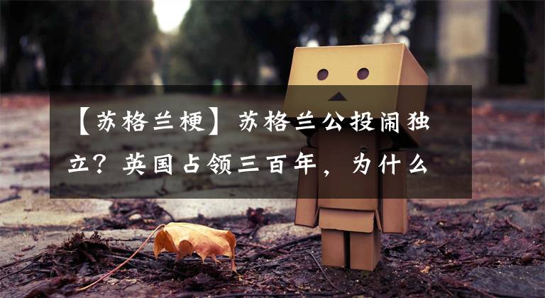 【苏格兰梗】苏格兰公投闹独立？英国占领三百年，为什么还搞不定苏格兰？
